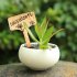 Plant Shaped Wooden  Labels Decorative Garden Tags For Seed Potted Herbs Flowers Vegetables JM00485  60 flowers 