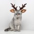 Plush Antler Headband Cute Headwear Ornament with Adjustable Buckle for Christmas Party Halloween Decor L