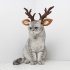 Plush Antler Headband Cute Headwear Ornament with Adjustable Buckle for Christmas Party Halloween Decor L