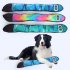 Plush Dog Toy With Squeaky Toy Bark Paper Bite resistant Teething Pet Supplies For Puppies Dog Snake Stuffed Animal Toys Rainbow Big Eyed Snake