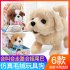 Plush  Doll  Toy  Electric Cute Simulation Dog Walking Smart Dog Animal Toy For Children Bichon Frise