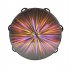 Polyester Drum Skin   Solid Wood 8 inch Double row Colorful Tambourine Hand rolled Hand Drum Percussion Instrument particle beam