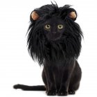 Polyester Headgear Wig Hat Dog <span style='color:#F7840C'>Cat</span> Lion Shape Costume Pet Supplies M
