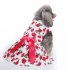 Polyester Pet  Clothes Summer Plaid    Skirt For Dog Pet Clothing Supplies white M