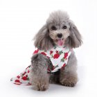 Polyester Pet  Clothes Summer Plaid    Skirt For Dog Pet Clothing Supplies white L