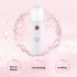 Portable Air Humidifier USB Rechargable Handheld Diffuser Mini Steamed Face Alcohol Atomizer Pink