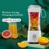 Portable Blender Type C Rechargeable Juicer Cup Electric Blender for Travel Kitchen 380ml White