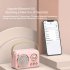 Portable Bluetooth Speaker B152 Audio Integrated Microphone Speaker Small Family KTV Pink