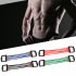 Portable Indoor sports Supply Chest Expander Puller Exercise Fitness Resistance Elastic Cable Rope Tube Yoga blue
