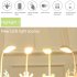 Portable LED Table Lamps 3 Lighting Modes Cartoon Deer Eye Protection USB Charging Reading Desk Light Night Light green lamb