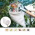 Portable Metal Fruit Picker Horticultural Fruit Picker Gardening Picking Tool Hardware Tool Silver