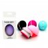 Portable Mini Cosmetic Brush Foundation Concealer Eye Shadow Oval Egg Makeup Brush