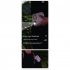 Portable Mini Hanging Fan 4 Level Usb Charging Mute Digital Display Electric Fan for Work Travel Sports Cooking Black