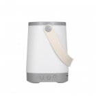 Portable Night Lamp Colorful Gradient Light Bluetooth-compatible Music Fm Radio Aux3.5 Audio Link Speaker grey