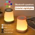 Portable Night Lamp Colorful Gradient Light Bluetooth compatible Music Fm Radio Aux3 5 Audio Link Speaker pink