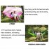 Portable Parachute Fabric Hammock with Mosquito Net For Outdoor Camping 12 