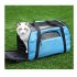 Portable Pet Bag Outgoing Travel Breathable Pets Cage Handbag with Top Window Mesh green