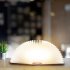 Portable USB Rechargeable LED Light Foldable Wooden Book Lamp for Home Decor Wooden red walnut Dupont paper money