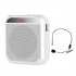Portable Voice Amplifier 8W 2200mA  Portable Rechargeable System For Teachers Yoga Travel Tour Guide Meeting pink