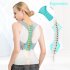 Posture Corrector Brace For Women Men Back Support Belt Correct Humpback Spinal Alignment M