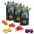 Potato  Grow  Bags Tomato Plant Case Home Garden Vegetable Planter Container 10 gallons 35 50cm