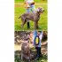 Premium Dog Leash Adjustable Length Handle Bungee Leash With Pouch For Walking Hiking Jogging Biking Running Purple yellow  traction rope  traction ropes  1 3 2