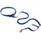 Premium Dog Leash Hands Free Length Handle Bungee Leash Adjustable Waist Belt Elastic Bungees Retractable Rope For Walking Hiking Jogging Biking Running blue 2.5mmx140-170cm