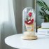 Preserved Flower Leucadendron Shape Battery Powered String Light with Glass Shade for Valentine As shown