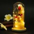 Preserved Flower Leucadendron Shape Battery Powered String Light with Glass Shade for Valentine As shown