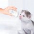 Professional Feeding Bottle For Nursing Anti chocking Newborn Kitten Puppy Milk Bottles For Kitten Puppy Small Animals green