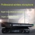 Professional Karaoke Wireless Microphone Mixer Audio Radio Kits Handheld LCD Microphone black EU plug