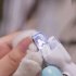 Professional Pet Nail Clipper With Ultra Bright LED Light Whale Shape Nail Scissors Claw Trimmer Tool Pet Grooming Supplies light blue 10237