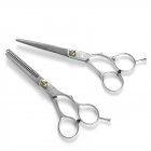 Professional Salon Barber Stainless Steel Hair Cutting Styling Scissor 2PCS