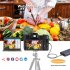 Professional WiFi Digital Camera 4K Camcorder 3 0 180   Flip Screen   Built in Battery Selfile Digital Webcam For Beginners Travel Camera standard