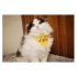 Pure Hand made Pet Collar Cat and Dog Pikachu Triangle Scarf Necklace Bib Pikachu triangle L