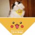 Pure Hand made Pet Collar Cat and Dog Pikachu Triangle Scarf Necklace Bib Pikachu triangle L