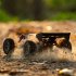 Q146 1 14 2 4g RC Car Electric Four Wheel Drive Off Road Vehicle Rechargeable High Speed Racing Car Black