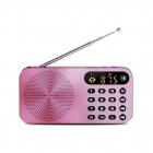 <span style='color:#F7840C'>Q6</span> Multi-function Fm Radio 3600mah Battery Rechargeable Led Digital Display Radio Rose gold