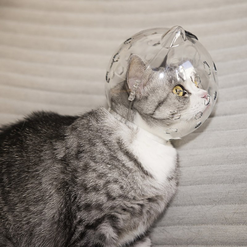 Pet Transparent Head Protective Space Ball Breathable Anti-bite Anti-Licking Cute Cat Ear Design Recovery Helmet small transparent