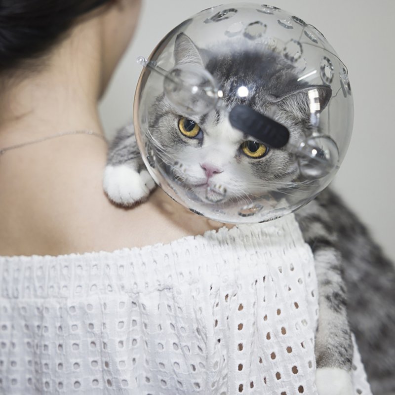 Pet Transparent Head Protective Space Ball Breathable Anti-bite Anti-Licking Cute Cat Ear Design Recovery Helmet small transparent