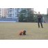 RC Customizable 6 Wheeled Car uses 2 4GHz Frequency to be able to reach distances of 80 to 100 Meters