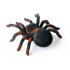 RC Tarantula has 2 4GHz Frequency and Supports both Android and iOS