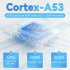 RG35XX PLUS Retro Handheld Game Console 3 5 Inch IPS Screen 3300mAH Rechargeable Battery Game Controller 64G Gray