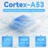 RG35XX PLUS Retro Handheld Game Console 3 5 Inch IPS Screen 3300mAH Rechargeable Battery Game Controller 64G Gray