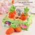 Rabbit Toys  Interactive Toys With 6 Small Carrots  Small Animals Interactive Chew Toys Supplies For Chinchilla  Hamster  Guinea Pig  Hedgehog Farm Pulled Radis