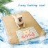 Rattan  Pet  Mat Summer Sleeping Cooling Pad For Teddy Cat Removable Washable Sleeping Mat Fresh daisy S  suitable for weight within 10 kg 