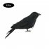 Realistic Black Crow Shape Decorative Prop for Halloween Spirit Festival 12in