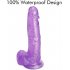 Realistic Dildos Jelly Penis for Beginners with Strong Suction Cup 7 8  Suction Sex Toys for Vaginal G spot and Anal Game  Purple  purple small