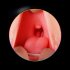 Realistic Oral 3D Deep Throat Artificial Vagina Male Masturbator Realistic Pussy Oral Sex Toys for Men Deep throat