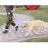 Reflective Nylon Dog Training Traction Rope Dog Walking Pet Dog Training Round Rope P Rope Orange